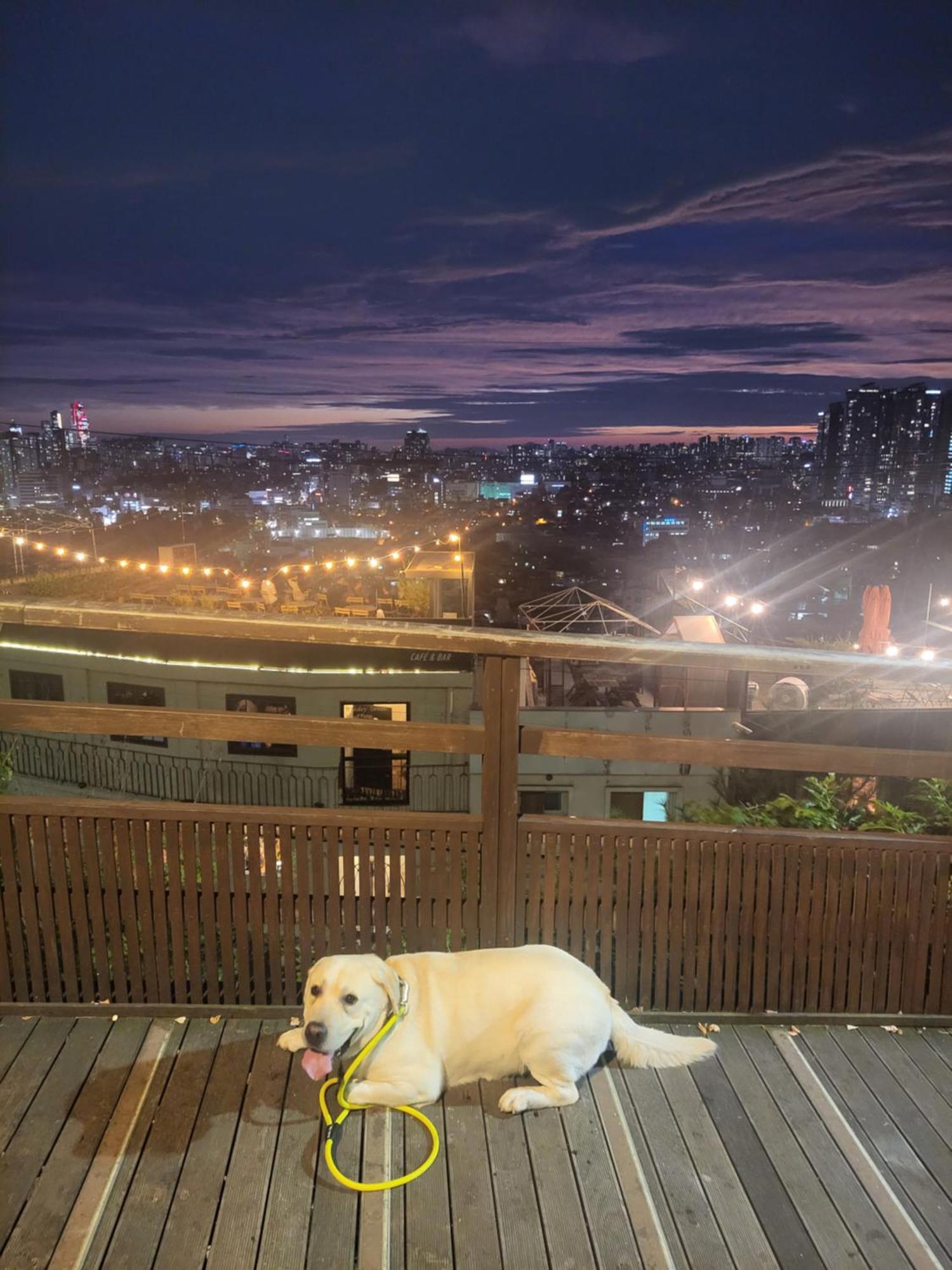 Newly Renovated 2 Bedroom Apartment #7 Seoul Luaran gambar