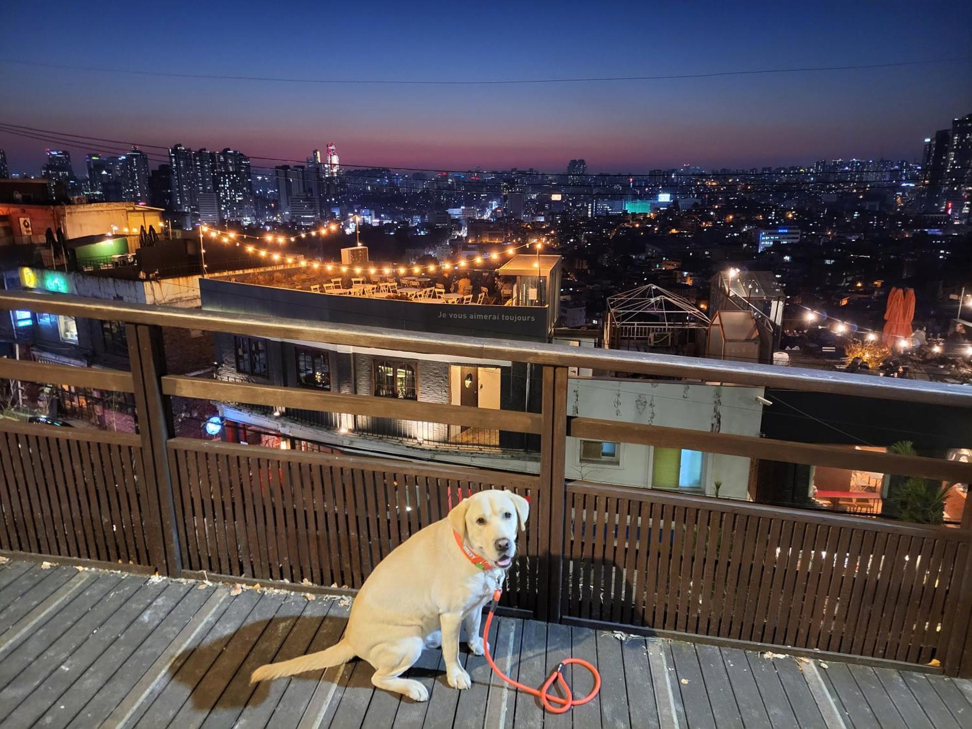 Newly Renovated 2 Bedroom Apartment #7 Seoul Luaran gambar