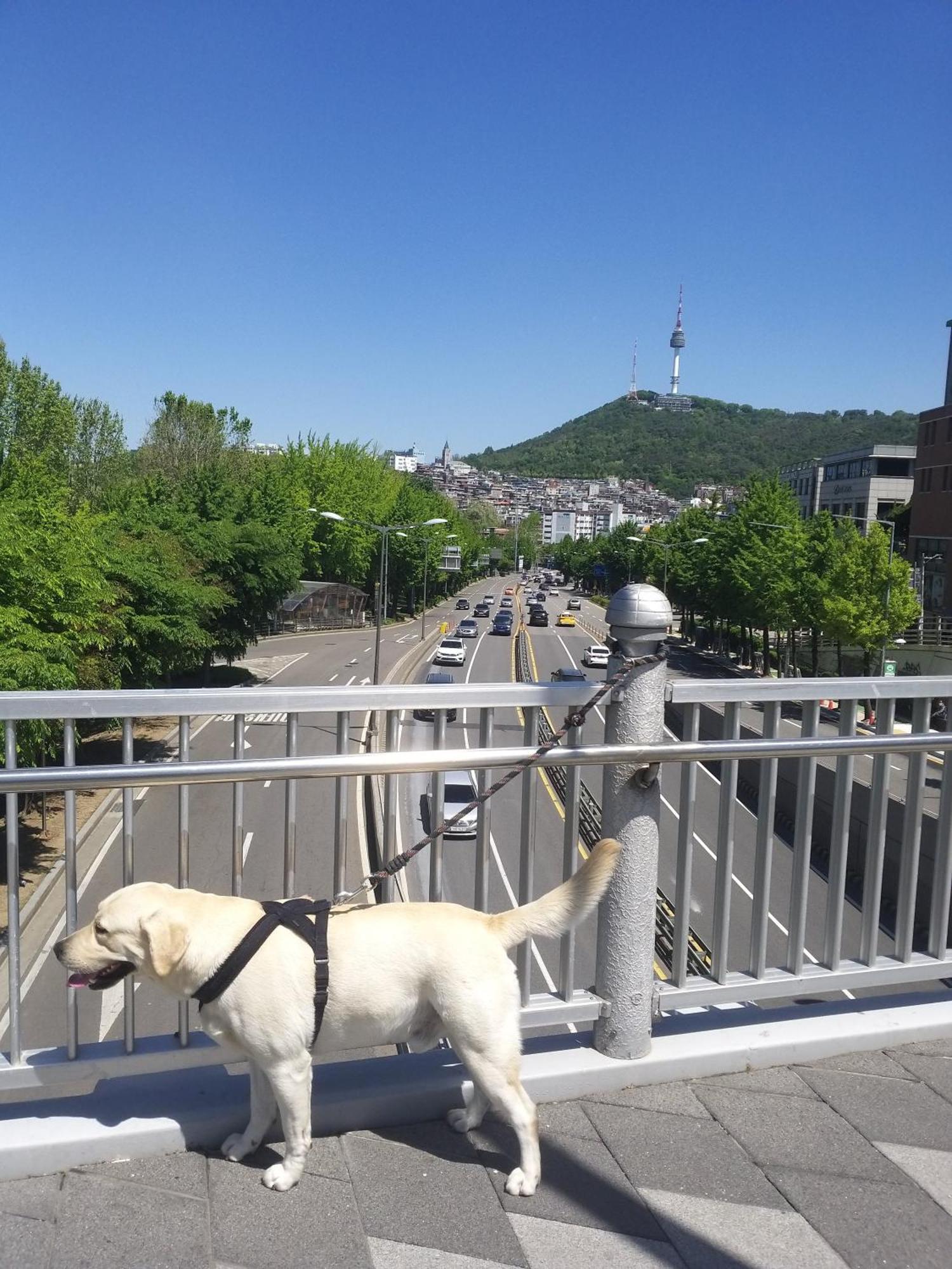 Newly Renovated 2 Bedroom Apartment #7 Seoul Luaran gambar