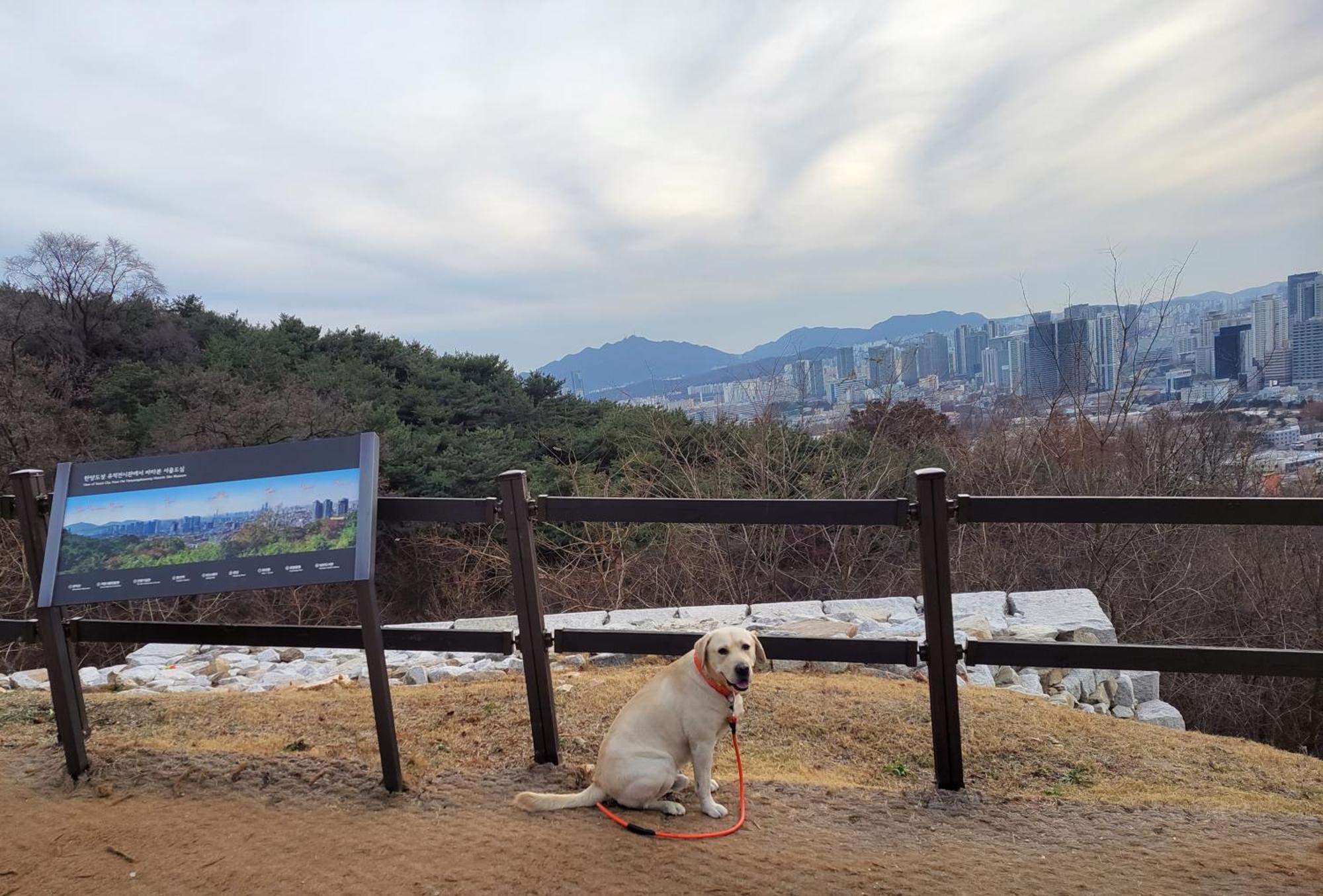 Newly Renovated 2 Bedroom Apartment #7 Seoul Luaran gambar