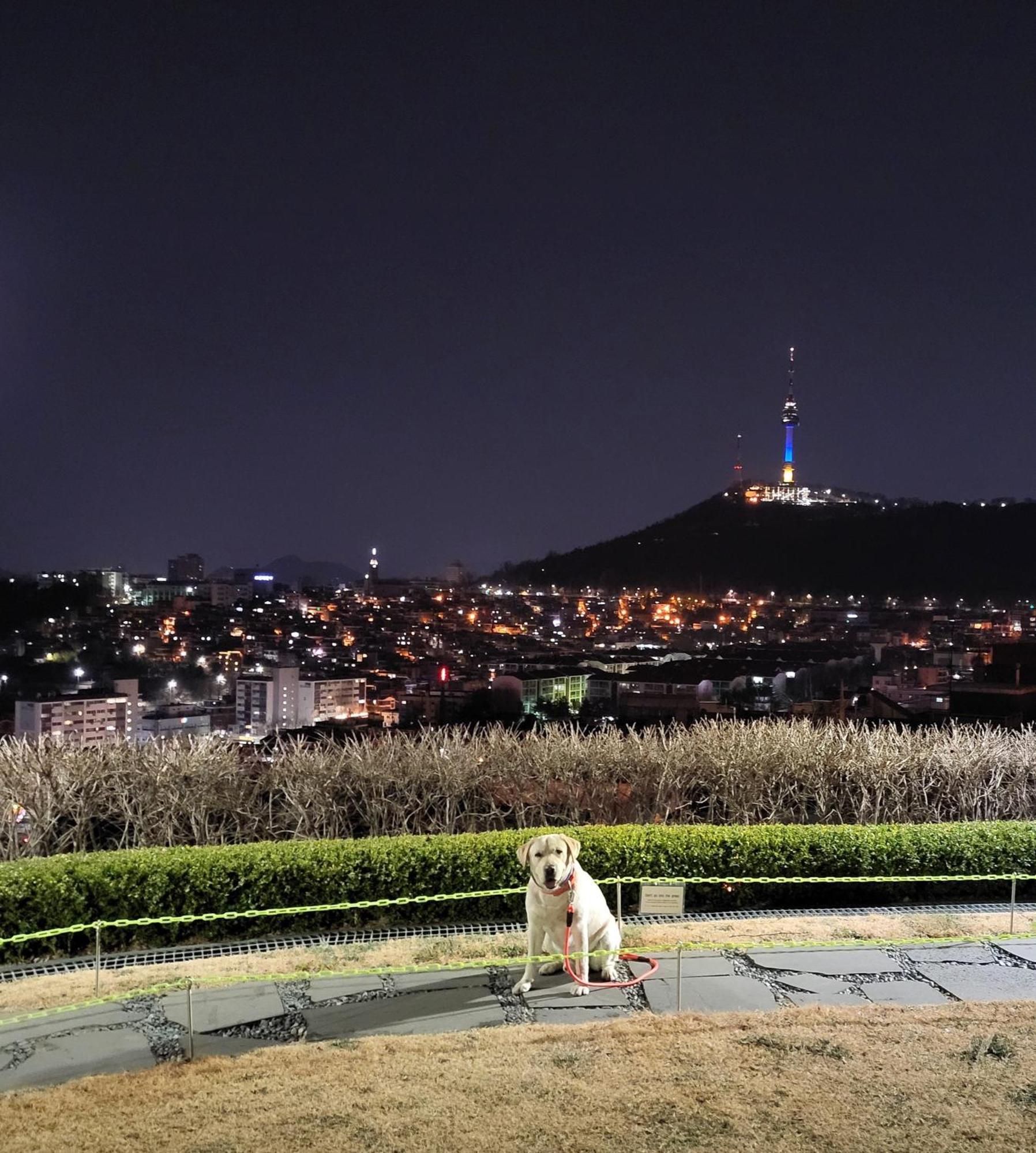 Newly Renovated 2 Bedroom Apartment #7 Seoul Luaran gambar